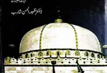 حضرت خواجہ معین الدین چشتی حیات و تعلیمات 11 Khawaja Moin U Din Chishti