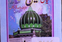 Mian Jameel Ahmed Sharaqpuri