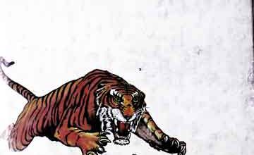 History ofTipu Sultan