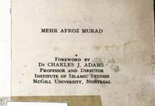 Intelluctual Modernism