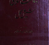 Jamaty Islami ka Sheesh Mahal