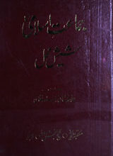 Jamaty Islami ka Sheesh Mahal