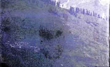 Jamu Kshmir Ki Pahari Riyasten