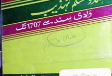 Junubi Asia Me Hindu Muslim Tahzeeb