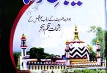 Khayaban-e-Raza