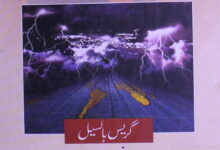 خوفناک صلیبی جنگ ترجمہ از رضی الدین سید 6 Khofnak Salebi Jung