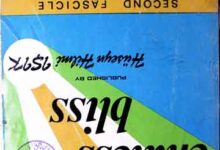 خوشی 9 Endless Bliss