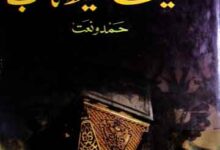 کلیات حفیظ تائب 17 Kuliyat-e-Hafeez Taib
