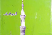 Mai Ghareeb Tu Ghareebnawaz