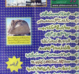 Mahanama Awaaz e Ahl e Sunnat (July 2010)