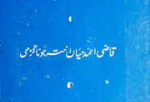 Mazameen Akhtar JunaGarhi