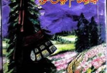 Mujahid Tum Kehan Ho