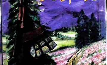 مجاہد تم کہاں ہو 3 Mujahid Tum Kehan Ho