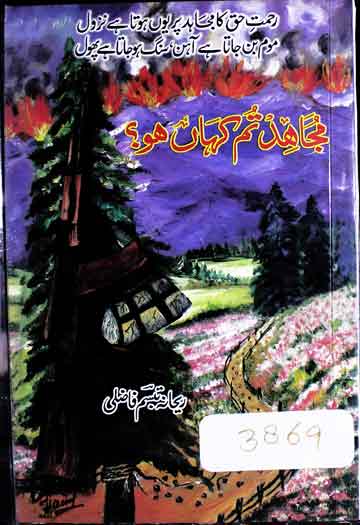 مجاہد تم کہاں ہو 1 Mujahid Tum Kehan Ho