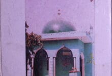 Mukhtasar Sawanih Hayat Sufi Baba Muhammad Shafi