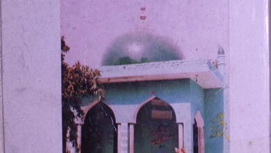 Mukhtasar Sawanih Hayat Sufi Baba Muhammad Shafi