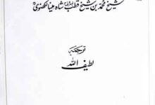 Malfoozar-e-Shah Mina