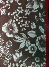 Manahij-ul-Sayyad o Madarij-ul-Khaeir