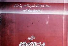 مقالات حمیداللہ (اسلامی تاریخ اور ثقافت پر مقالات)، مرتبہ زیبا افتخار 5 Maqalaat-e-Hameed-u-Alllah