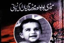 Mer Bachpan ki Kahani