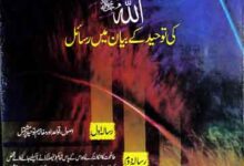 میراث الانبیاء 8 Meeras ul Anbia