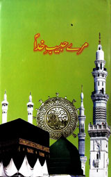 Mere Habib-e-Khuda