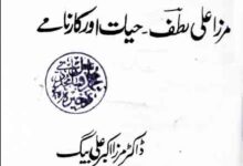 مرزا علی لطف، حیات اور کارنامے 15 Mirza Ali Lutuf