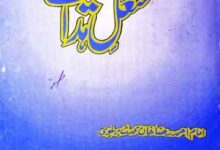 مشعل ہدایت 13 Mashal-e-Hidayat