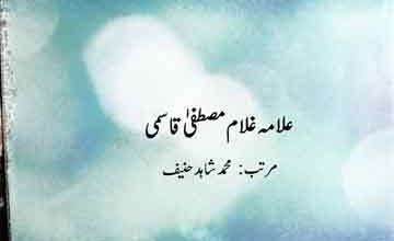 مولانا عبیداللہ سندھی و دیگر مشاہیر 3 Molana Ubaidullah Sindhi