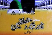 نادر پیر و متعلقین 10 Nadir Peer-o-Mutalliqeen