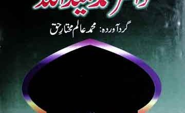 Nagarishat Doctor Hameedullah