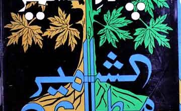 چنار کشمیر 5 Chanar-e-Kashmir