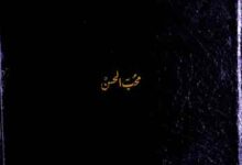 Hindustan Dor-e-Wusta Ke Muarrikheen