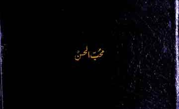 Hindustan Dor-e-Wusta Ke Muarrikheen