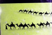 Hindustan Main Arbo Ki Hukumaten