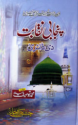 Panjabi Naqaabat Di Dairy