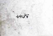 Punjab Ke Sufi Danishwar