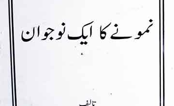 نمونے کا ایک نوجوان (ارشد محمود صدیقی کی وفات پر ایک یادگار کتابچہ) 2 Namoone Ka Nojwan