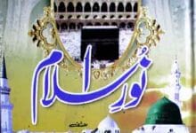 Noor-e-Islam
