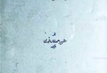 Riyaziat Main Muselmano Ka Hissa