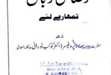 Raza Ki Zuban Tumhare Liye