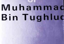 Rise Of Muhammad Bin Tughlaq