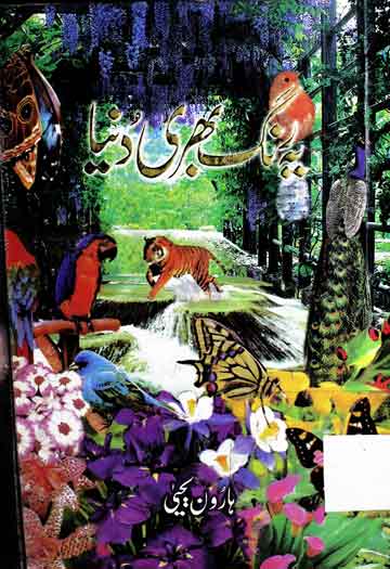 Yeh Rang Bhari Dunya