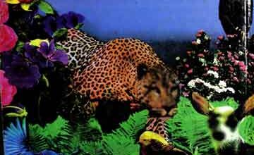 یہ پرشکوہ کائنات 3 Yeh Pur Shikwa Kainat