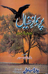 Parwaz-e-Kheeal