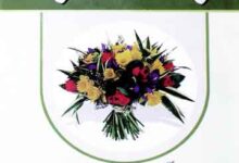 پرواز محبوب 17 Parwaz-e-Meboob (Rah)