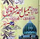 صاحبزادہ میاں جمیل احمد شرقپوری 12 Shabzadah Miyan Jmail Ahmad Shrqpuri