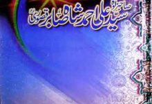 Sayed Ali Ahmad Shah Sabir