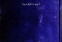 سید حسن غزنوی، حیات اور ادبی کارنامے 4 Sayyed Hassan Ghazanwi