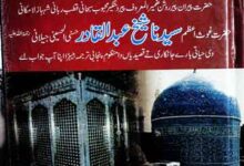 شاہ پیر جیلانی سوہنے نیں 10 Peer Jilani Sohny Nain